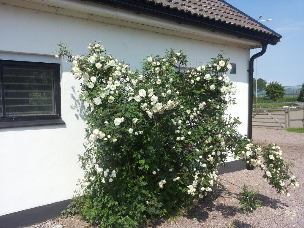 Maison d'hôtes Lagenhet Lillisgarden à Vallåkra Extérieur photo
